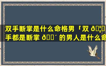 双手断掌是什么命格男「双 🦊 手都是断掌 🐴 的男人是什么命」